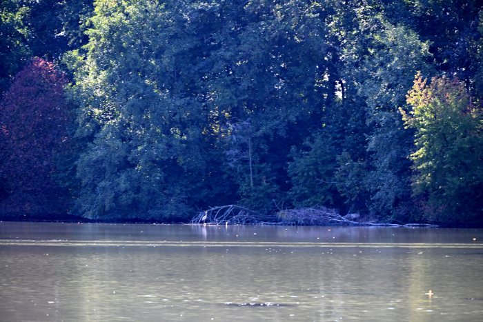 DSC_4795.JPG