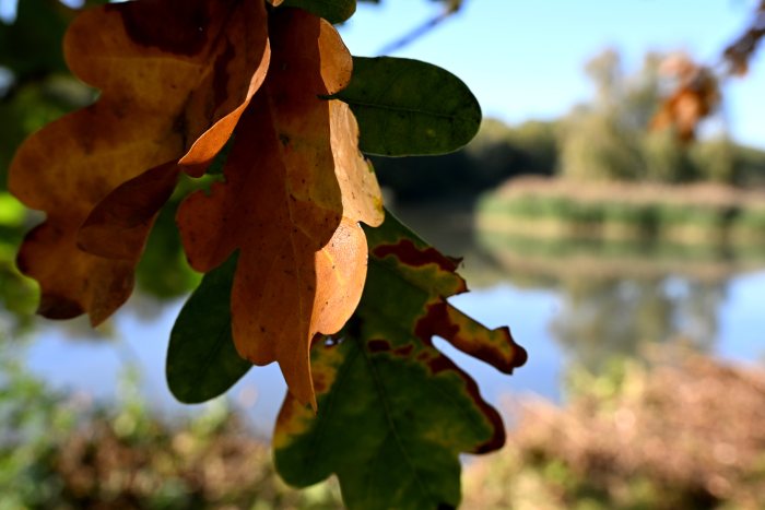 DSC_4831.JPG