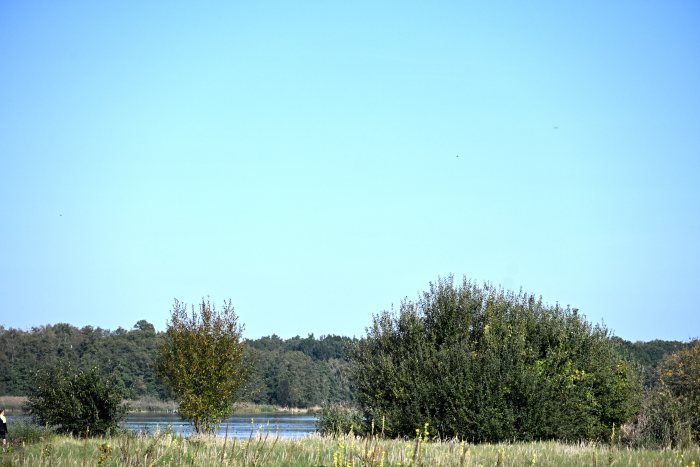 DSC_4848.JPG