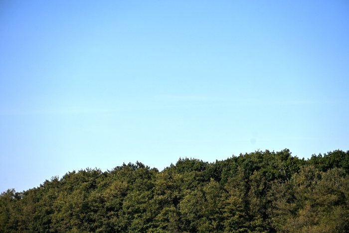 DSC_4851.JPG