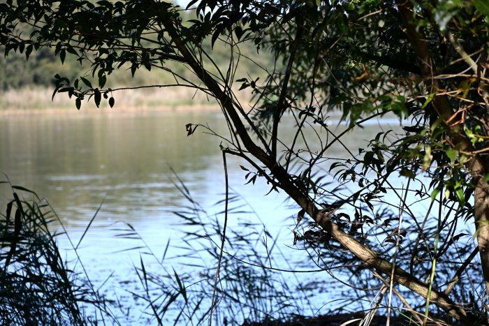 DSC_4864.JPG